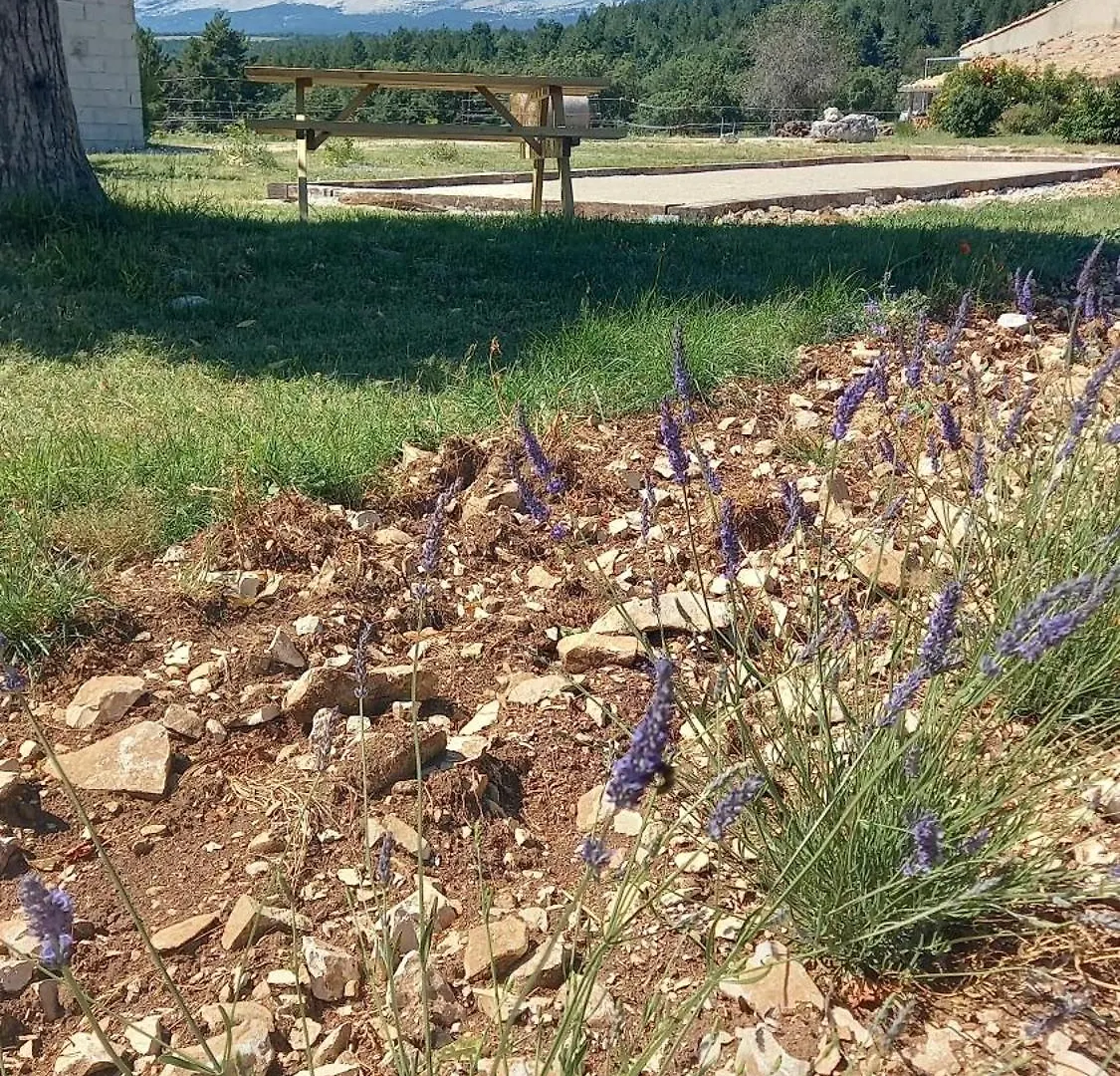 A Ventoux Yourte Monieux Gasthof