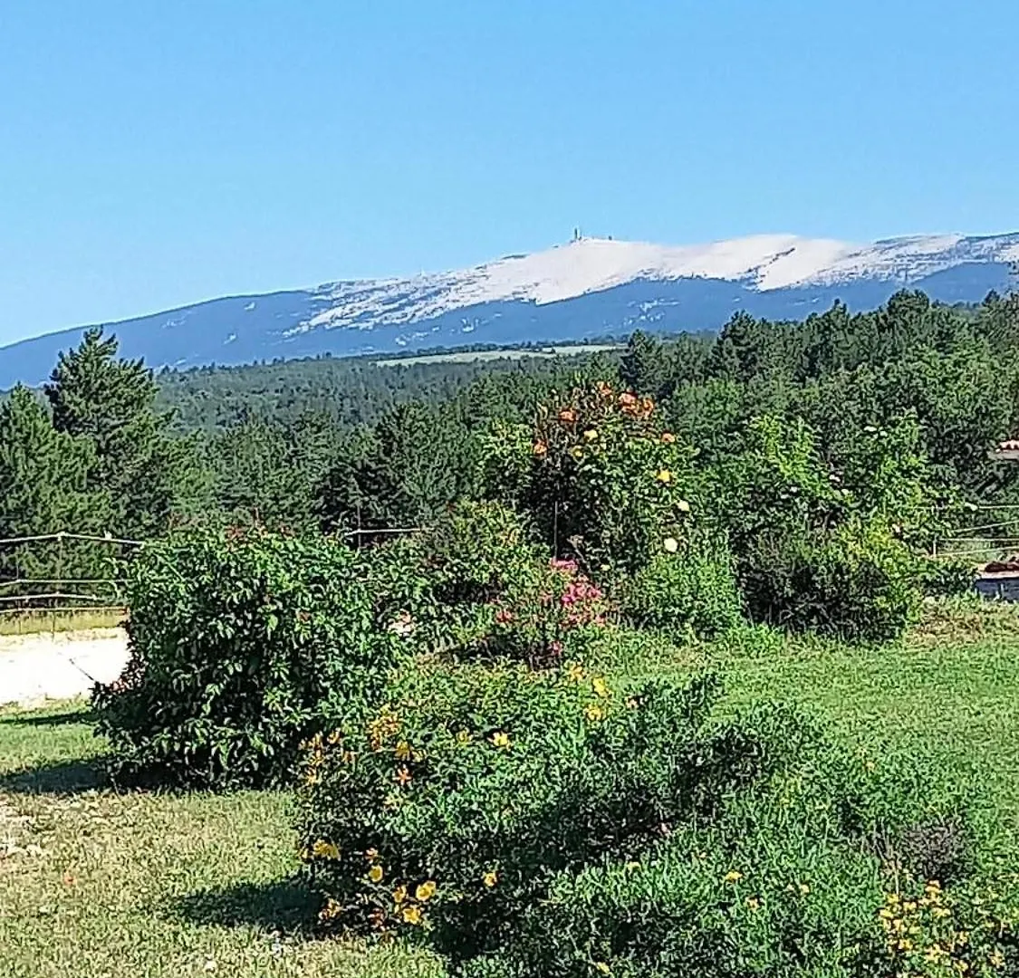 A Ventoux Yourte Monieux